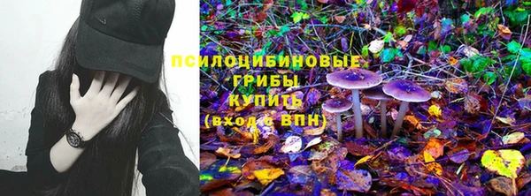 ECSTASY Абаза
