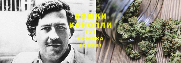дживик Осташков