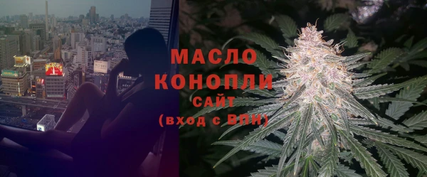 дживик Осташков