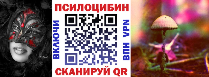 Псилоцибиновые грибы Cubensis  Мосальск 